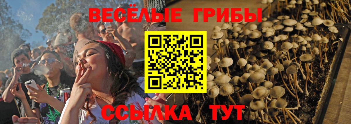 Галлюциногенные грибы ЛСД Тамбов
