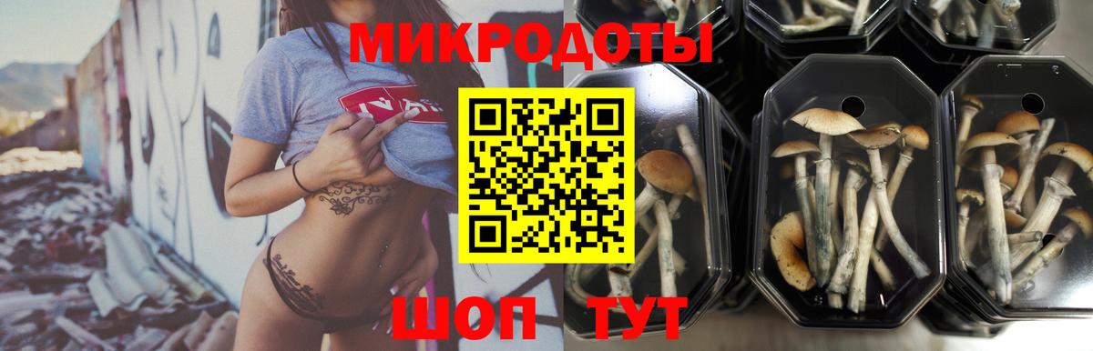 Галлюциногенные грибы Magic Shrooms  купить наркотик  Тамбов  Вход с VPN 